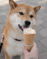 Mochi