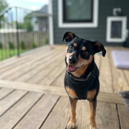 Baxter