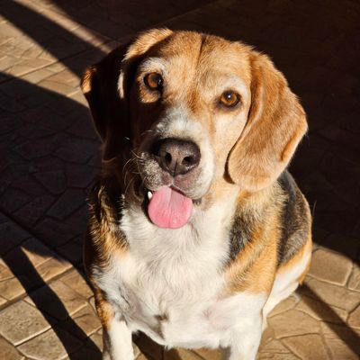 Tucker