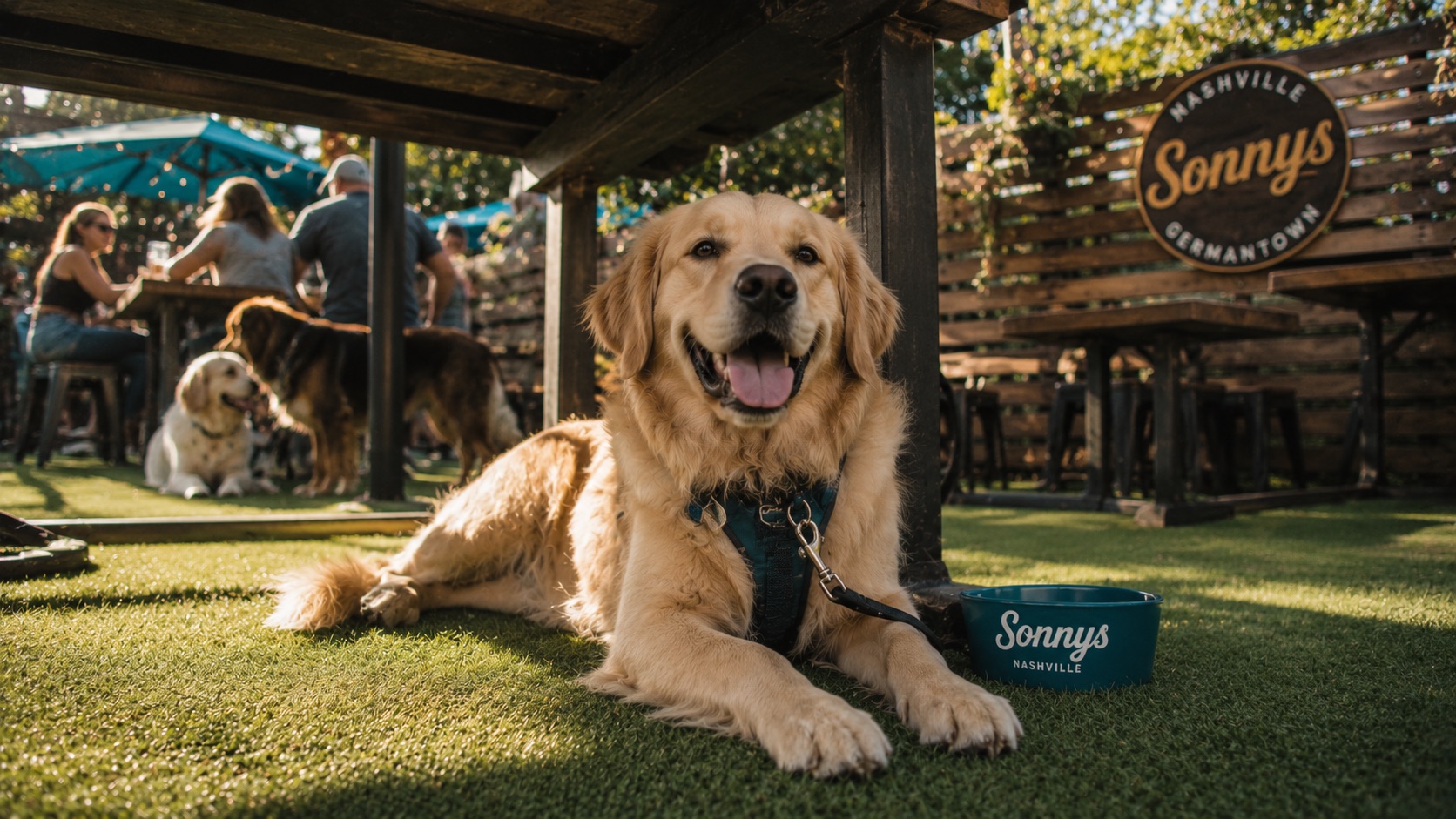A golden retriever lies contentedly under a café patio table beside a water bowl on a sunny day.